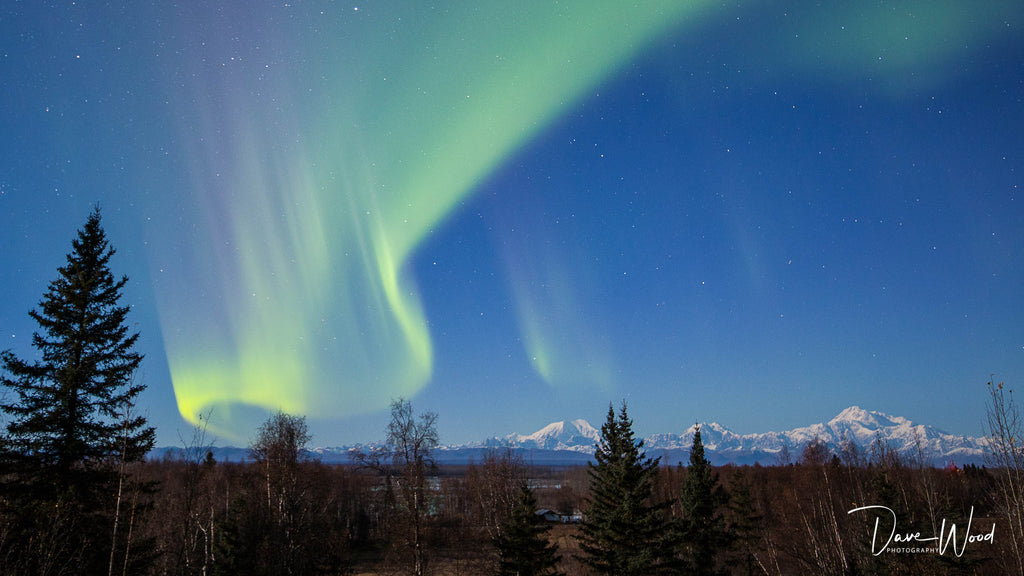 Aurora Over Denali - Metal & Acrylic Print