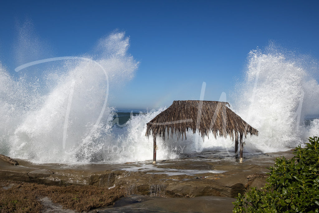 Tiki Hut