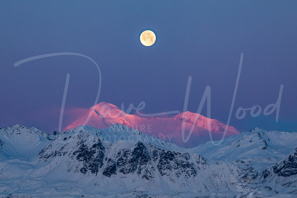 Blue Moon Over Denali